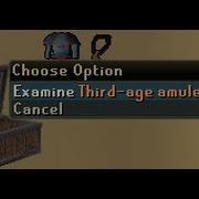 Runique Loot From 100 Hard Elite Clues