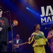 Salif Keita Les Ambassadeurs Jazz In Marciac 2015