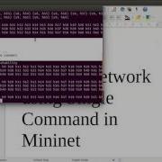Mininet Custom Topology