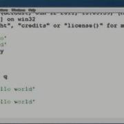 Python Tutorial 4 Variables