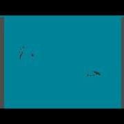 Pendulum Animation