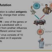Chapter 25 RNA Viruses New