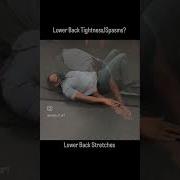 Lower Back Tightness Spasm Stretches For Pain Relief Physicaltherapy Backpain