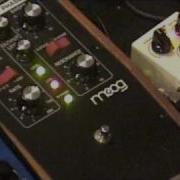 Moog MF 103 12 Stage Phaser 12 Stage Phasering Guitar Demo