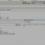 Getting Started With Data Discovery And Query Builder
