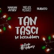 Kedi Live