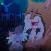 Hey Mom Warrior Cats Animation Meme TEST Curlfeather Frostpaw