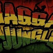 RAGGA JUNGLE