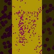 My First Little Creative Coding Project Coding Javascript Webdeveloper