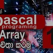 16 What Is This Array And How Use Array Pascal Programming SINHALA