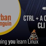 Use Bash Shortcuts For A Quick And Easy Cli And Nano Experience