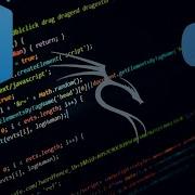 Installing Visual Studio Code Vscode And Python For Kali Linux