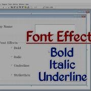 Microsoft Visual Basic 6 0 Program For Using Bold Italic Underline Strikethru Effects On Text