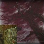 Админ СДВК Реагирует На Veil Mater Maternis