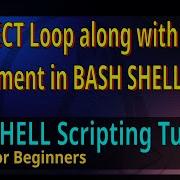 21 How To Use The SELECT LOOP Along With CASE Statement In BASH SHELL Script