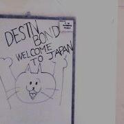 Destiny Bond Can T Kill The Love Japan 2025 Tour Video