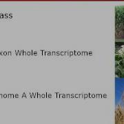 Affymetrix Gene Expression Update PAG 2014