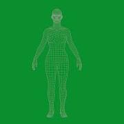 Wireframe Green Screen Rotating Male And Female Futuristic Visuals
