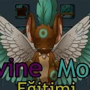 Transformice Shaman Eğitimi Divine Mode 1 Vanilla Maps