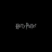 Harry Potter Theme Song Earrape