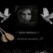 Zuhal Kıvırcık Ali Senin OLaydım
