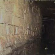 Sewer Creature Spotted