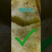 Worms In BANANAS Debunked Under The Microscope