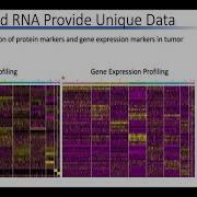 HCA Meeting Asia 2020 Selected 4d Building A Single Cell Multi Omics Toolkit