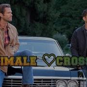 Multimale Crossfire
