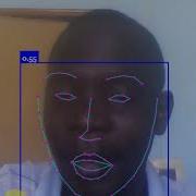 Face Recognition Using Face Landmark In Javascript And Faceapi Js