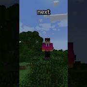 Commands You NEED To Know For Your Minecraft Server