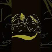 Jai Shree Radha Krishna Radhe Radhe Python Coding Song Bhakti Radheradhe Love Status Krishna