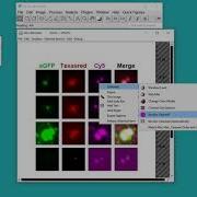 QuickFigures Tutorial Editing Figures