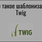 What Is A Twig Template And Why Is It Necessary
