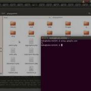 How To Fixing Phppgadmin Cannot Dump Sql On Ubuntu