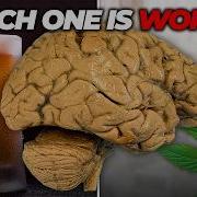 Alcohol Or THC Which Is Worse