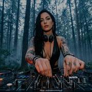 Hypnotic Underground Tech House 2026 Dark Club Bass Deep Groove In Pennsylvania Forest