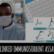 Introduction To Enzyme Linked Immunosorbent Assay ELISA