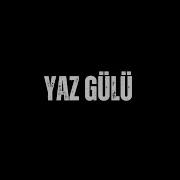 Yaz Gülü Akustik Trep