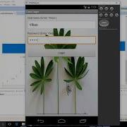 Android User Session Using Shared Preferences