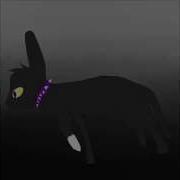 Scourge Wolf In Sheep S Clothing M A P Part 2