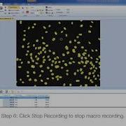 Beginner S Guide To Macro Writing Celleste Image Analysis Software
