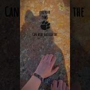 And Your Paws Can Hear Through The Earth COLLAB Therian Quadrobics Alterhuman