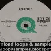 Brainchild Synfonica