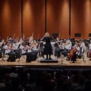 AYO Serenade Strings Ensemble Shadow Dance Richard Meyer