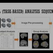 Learn FMRI W05 Monti UCLA 02 Preprocessing Intro Pt1