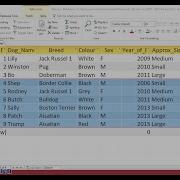SQL Tutorial Of How To Use NOT Logical Operator With A WHERE Condition In Microsoft Access