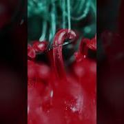 Velcro Close Up Slowmotion Macrophotography Decompression Immersion