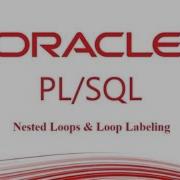 Oracle PLSQL Nested Loops Labels