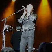 SYMPHONICITY STING LIMA 12 FIELDS OF GOLD